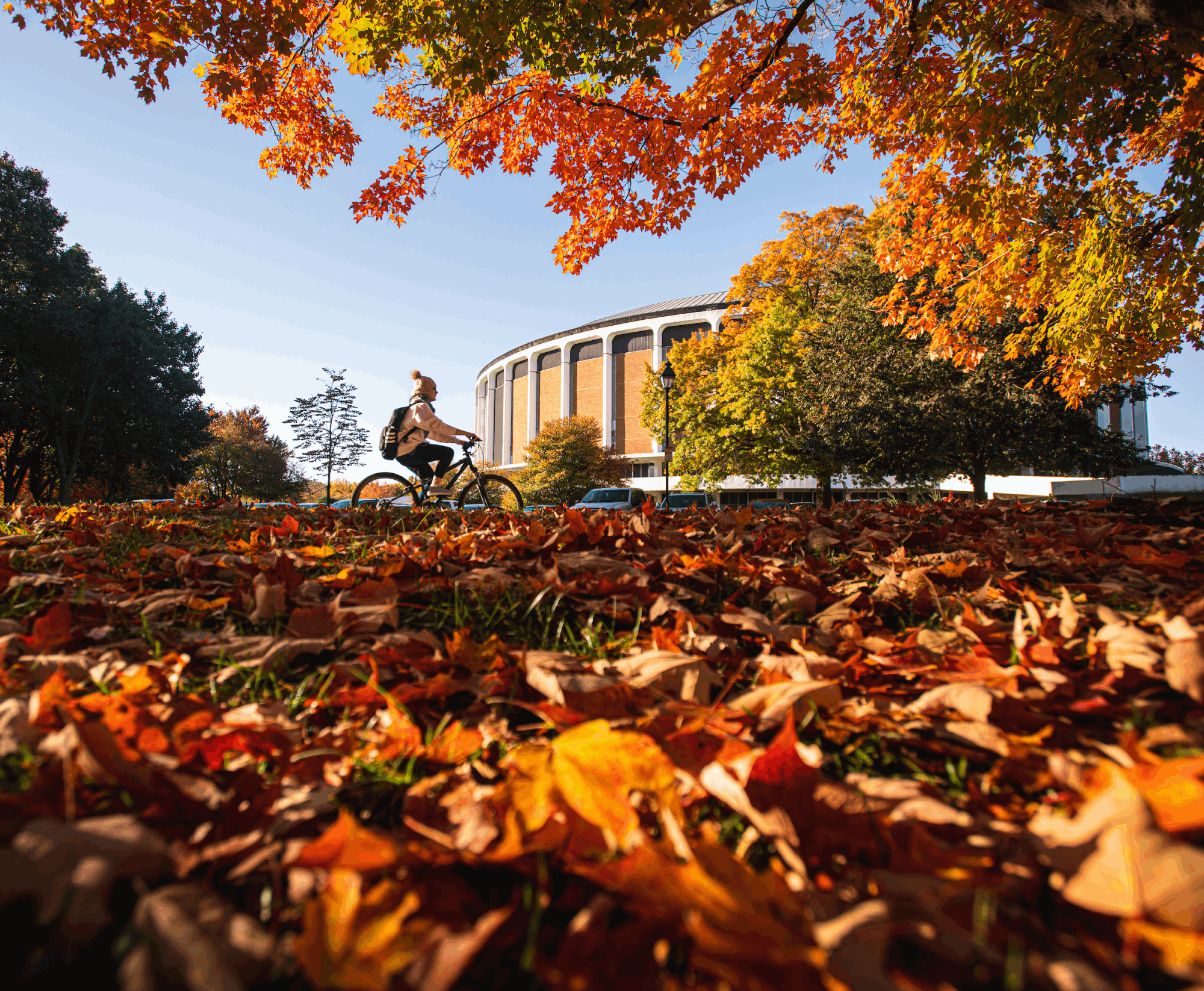 Fall colors at Ohio University